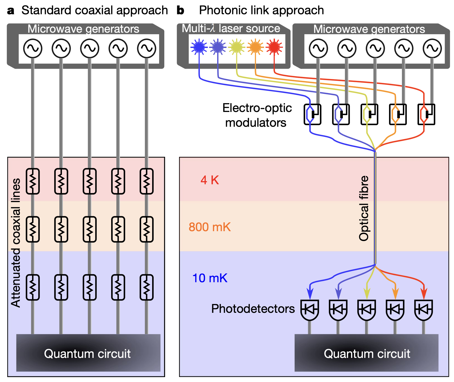 Fiber Optic Solution